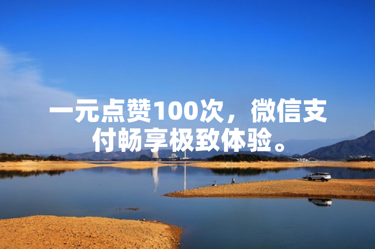 一元点赞100次，微信支付畅享极致体验。