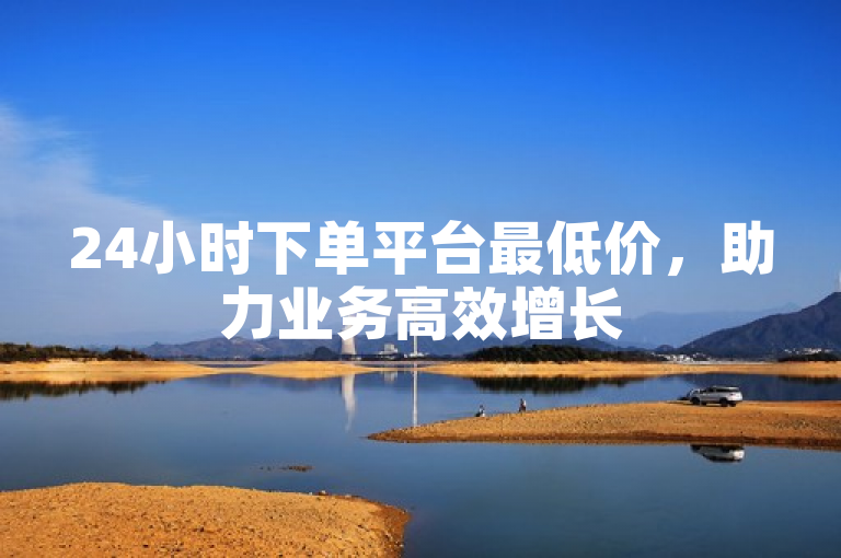 24小时下单平台最低价，助力业务高效增长