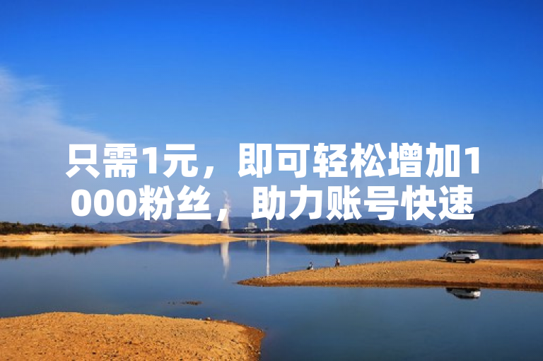 只需1元，即可轻松增加1000粉丝，助力账号快速涨粉。