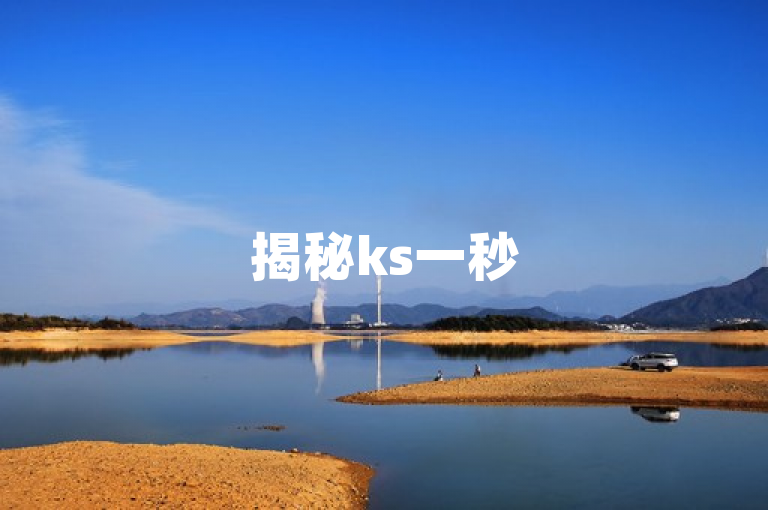 揭秘ks一秒5000赞，SEO技巧助新人快速涨粉！