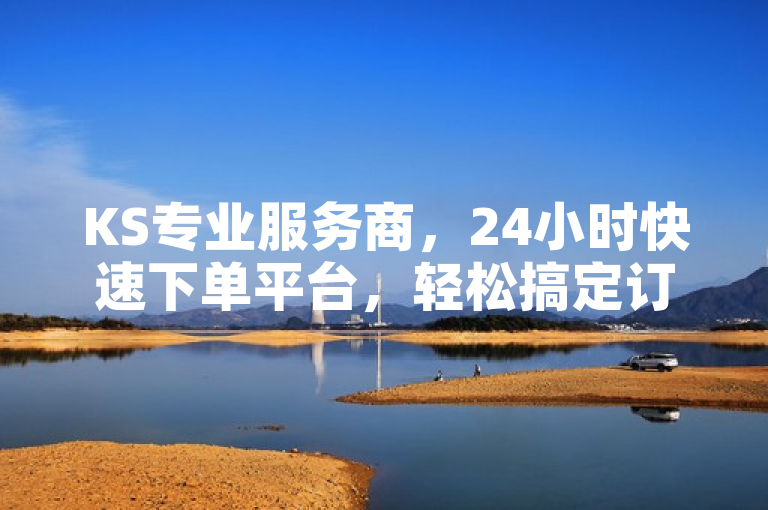 KS专业服务商，24小时快速下单平台，轻松搞定订单。