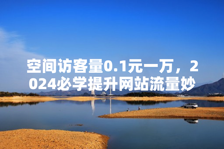 空间访客量0.1元一万，2024必学提升网站流量妙法！