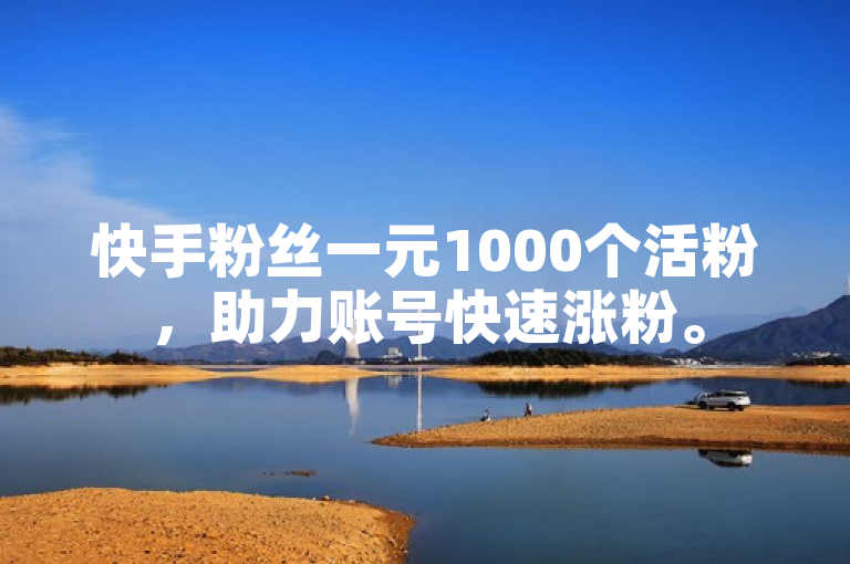 快手粉丝一元1000个活粉，助力账号快速涨粉。