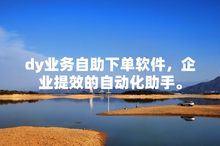 dy业务自助下单软件，企业提效的自动化助手。