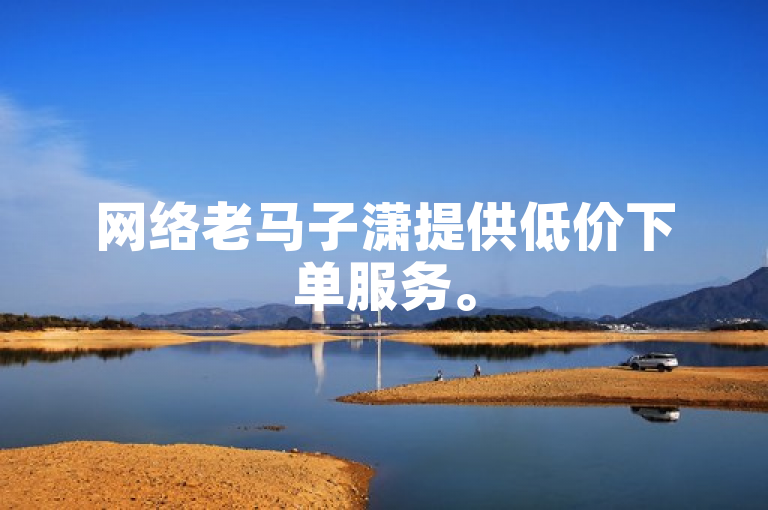 网络老马子潇提供低价下单服务。