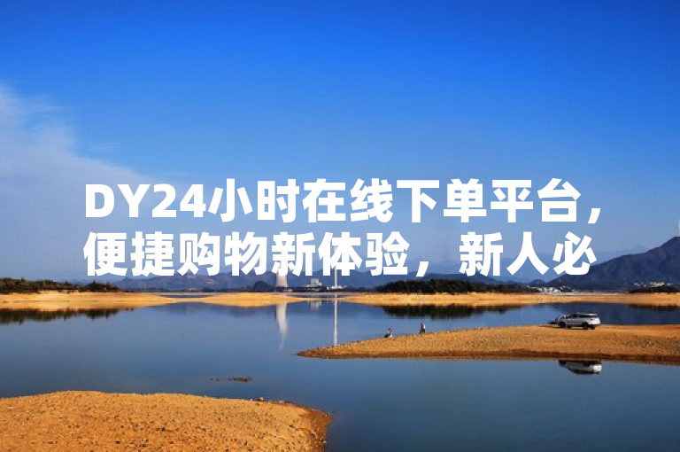 DY24小时在线下单平台，便捷购物新体验，新人必备！