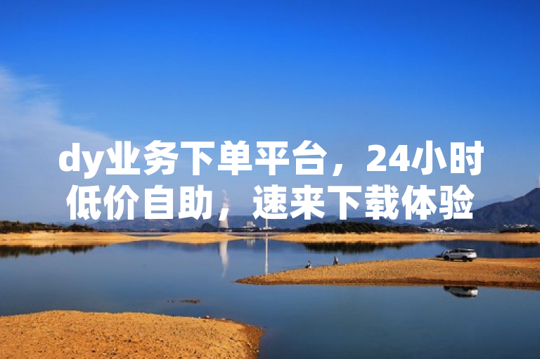 dy业务下单平台，24小时低价自助，速来下载体验！
