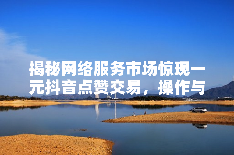 揭秘网络服务市场惊现一元抖音点赞交易，操作与风险全剖析。