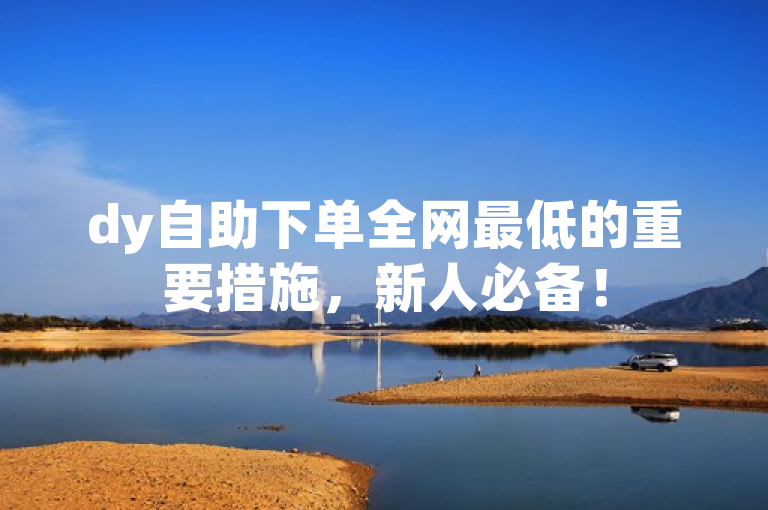 dy自助下单全网最低的重要措施，新人必备！