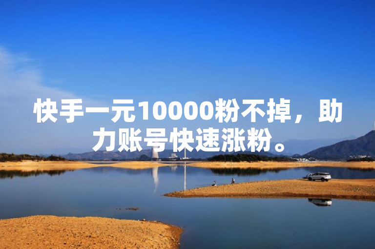 快手一元10000粉不掉，助力账号快速涨粉。