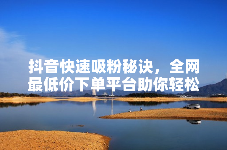 抖音快速吸粉秘诀，全网最低价下单平台助你轻松涨访客量。