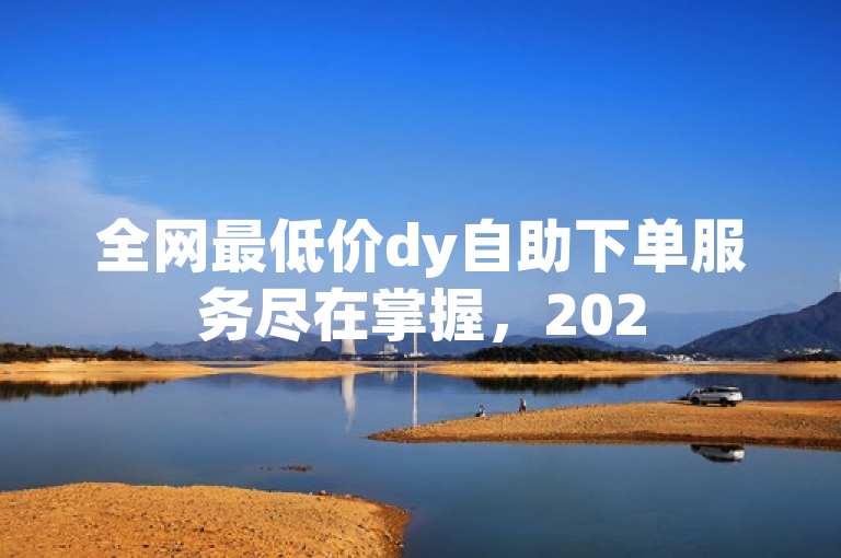 全网最低价dy自助下单服务尽在掌握，2025必学！