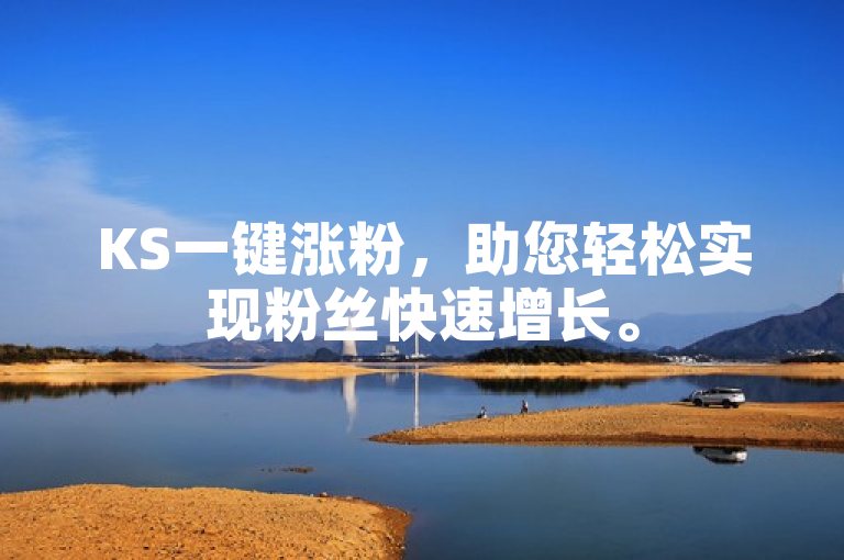 KS一键涨粉，助您轻松实现粉丝快速增长。