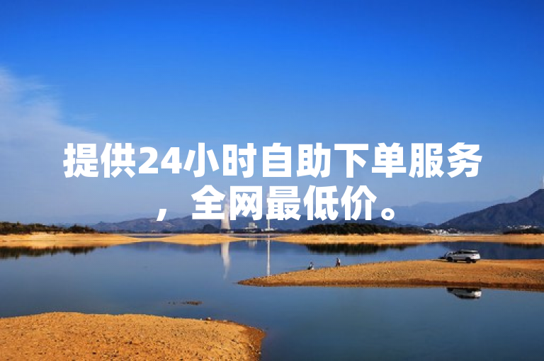 提供24小时自助下单服务，全网最低价。