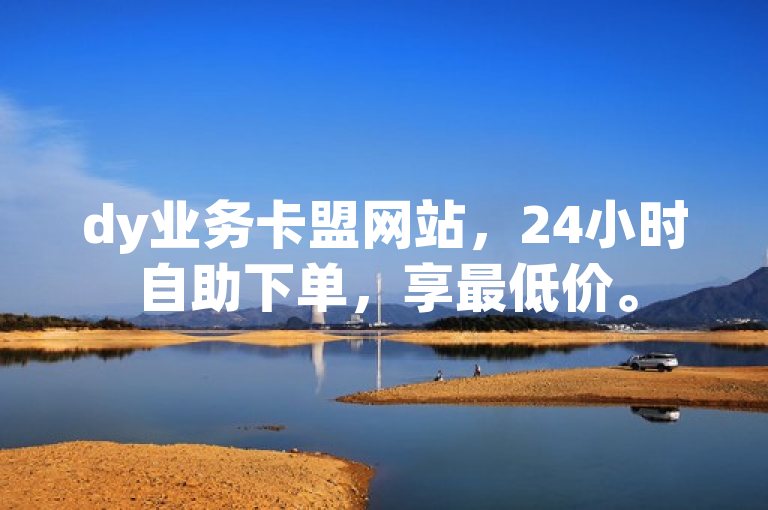 dy业务卡盟网站，24小时自助下单，享最低价。