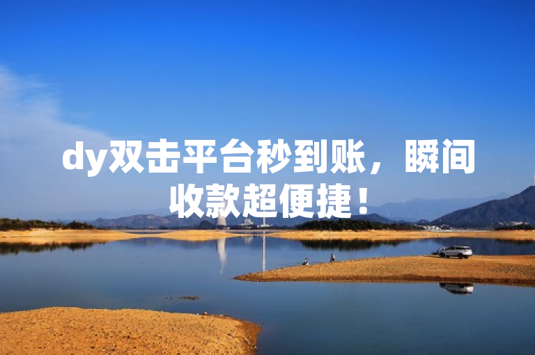 dy双击平台秒到账，瞬间收款超便捷！