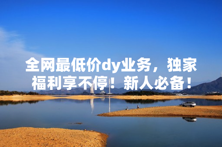 全网最低价dy业务，独家福利享不停！新人必备！