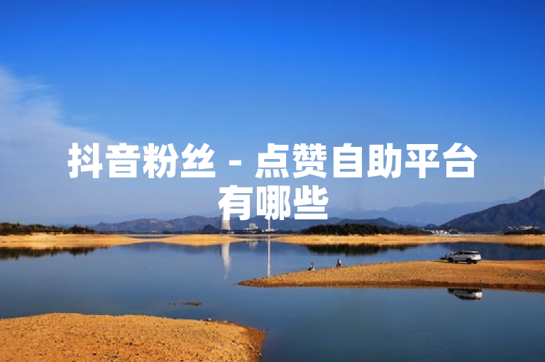 抖音粉丝 - 点赞自助平台有哪些