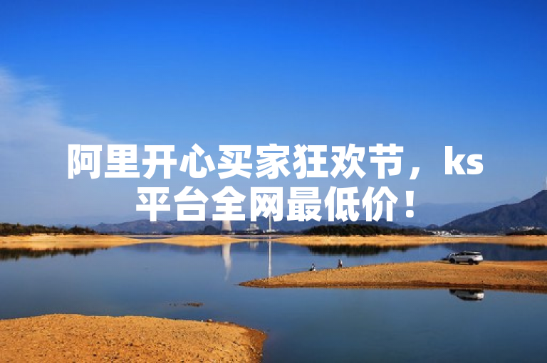 阿里开心买家狂欢节，ks平台全网最低价！
