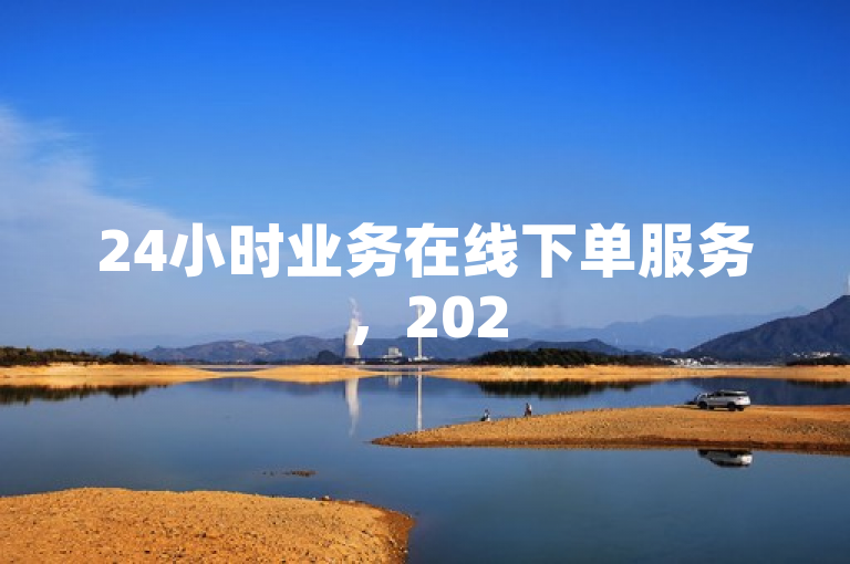 24小时业务在线下单服务，2025年必备技能！