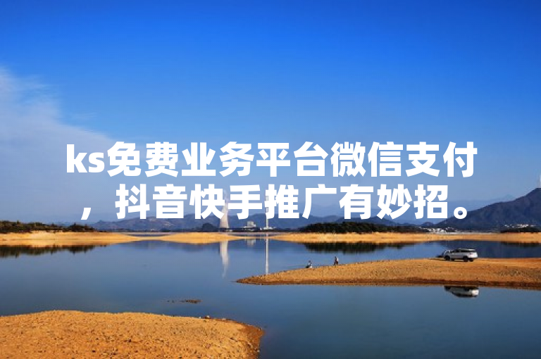 ks免费业务平台微信支付，抖音快手推广有妙招。