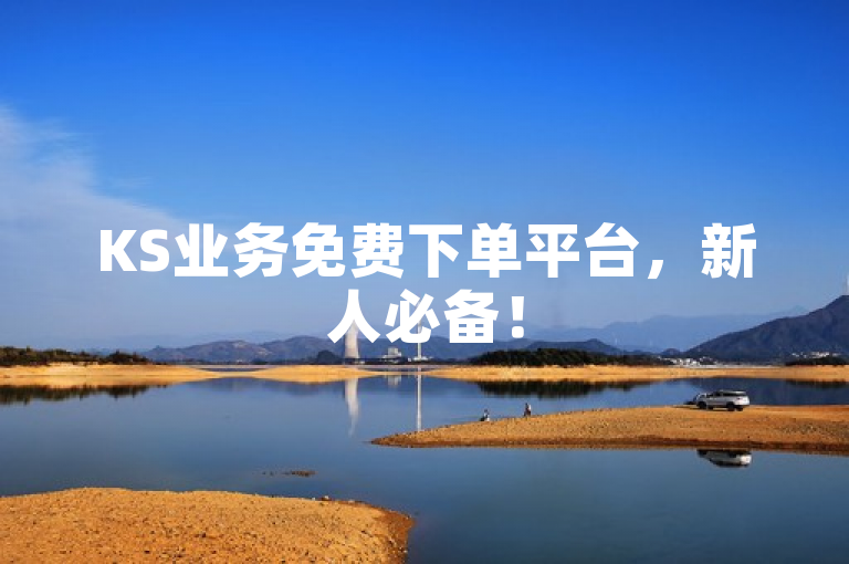 KS业务免费下单平台，新人必备！