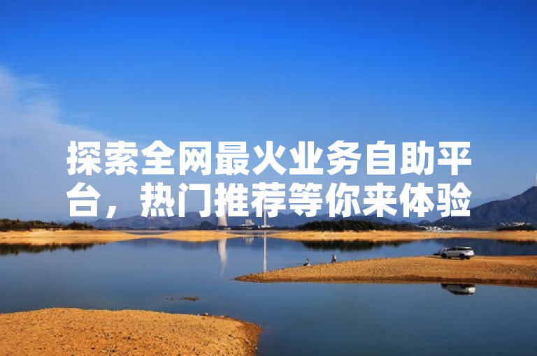 探索全网最火业务自助平台，热门推荐等你来体验。