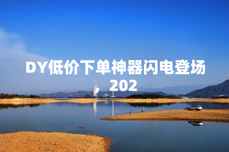 DY低价下单神器闪电登场，2025超值优惠等你来享！