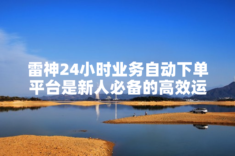 雷神24小时业务自动下单平台是新人必备的高效运转利器！