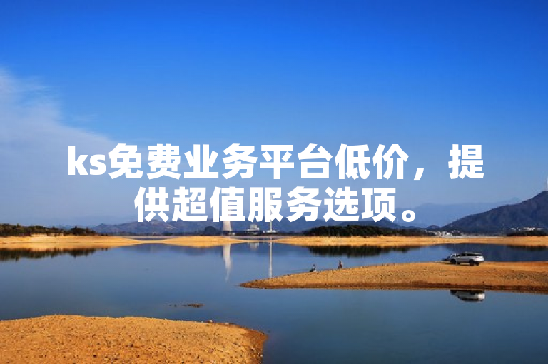ks免费业务平台低价，提供超值服务选项。