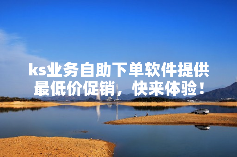 ks业务自助下单软件提供最低价促销，快来体验！