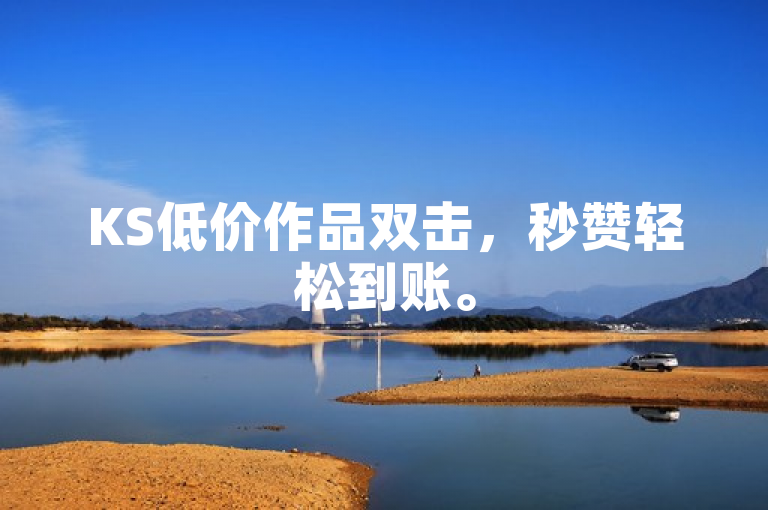 KS低价作品双击，秒赞轻松到账。