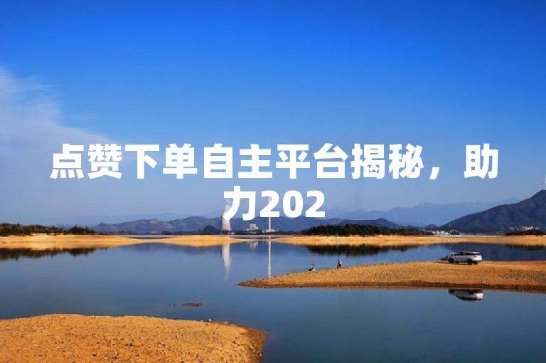 点赞下单自主平台揭秘，助力2025新体验！