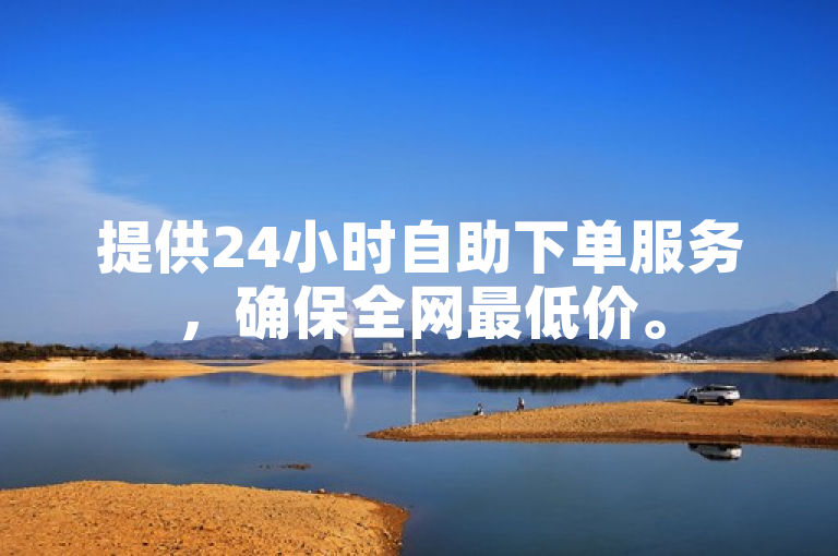 提供24小时自助下单服务，确保全网最低价。