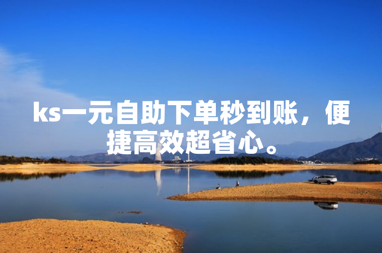 ks一元自助下单秒到账，便捷高效超省心。