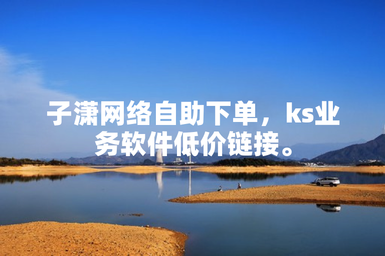 子潇网络自助下单，ks业务软件低价链接。