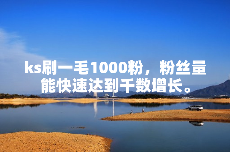 ks刷一毛1000粉，粉丝量能快速达到千数增长。