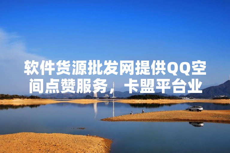 软件货源批发网提供QQ空间点赞服务，卡盟平台业务介绍。