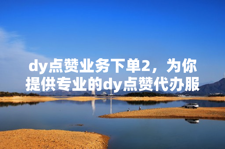 dy点赞业务下单2，为你提供专业的dy点赞代办服务全攻略。