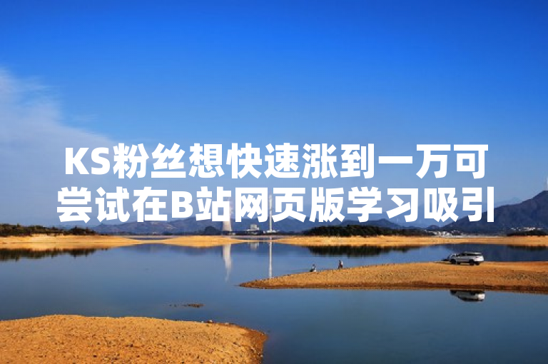 KS粉丝想快速涨到一万可尝试在B站网页版学习吸引粉丝技巧，但应避免违规刷量。
