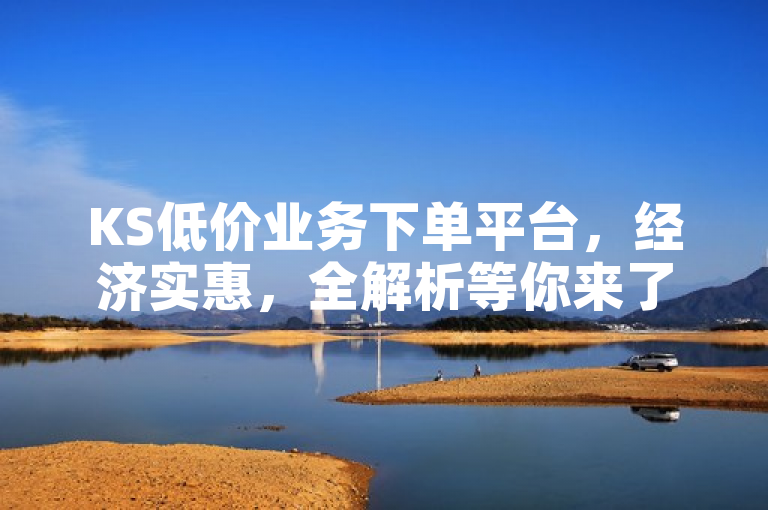 KS低价业务下单平台，经济实惠，全解析等你来了解！