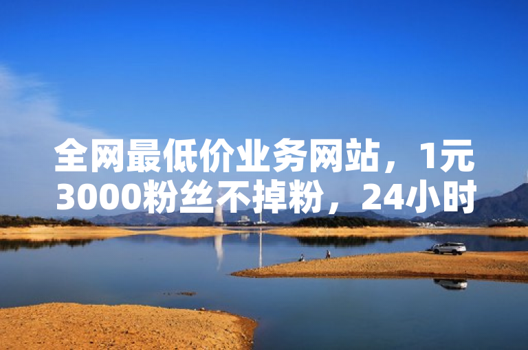 全网最低价业务网站，1元3000粉丝不掉粉，24小时自助下单平台震撼上线！