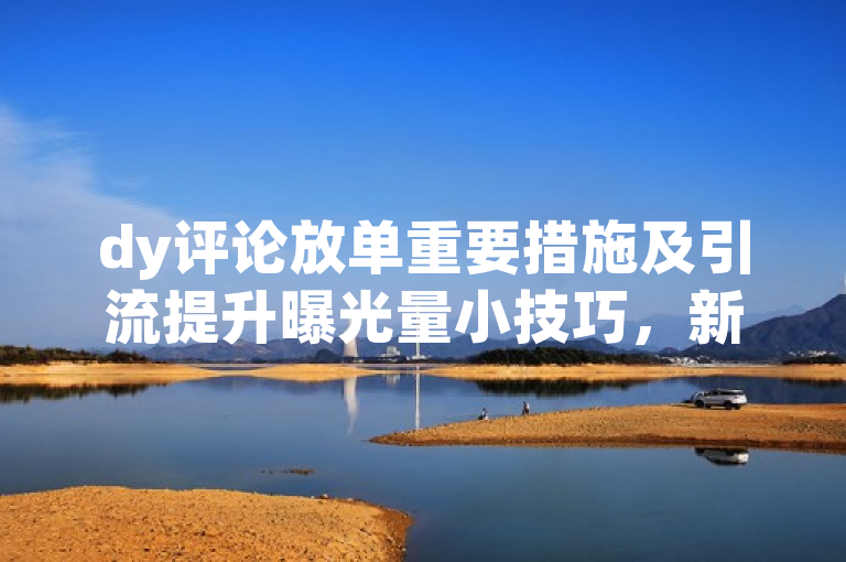 dy评论放单重要措施及引流提升曝光量小技巧，新人必备！