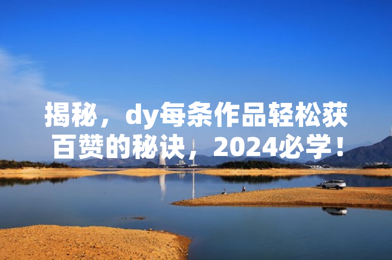 揭秘，dy每条作品轻松获百赞的秘诀，2024必学！