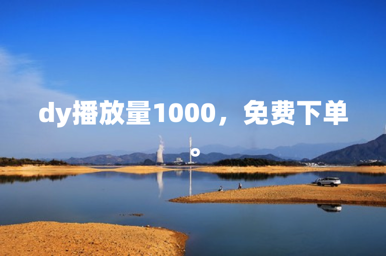 dy播放量1000，免费下单。