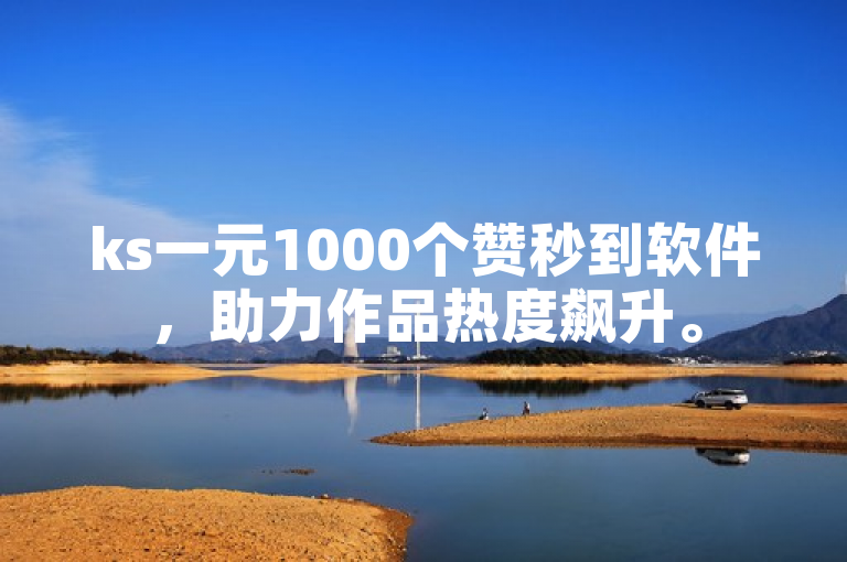 ks一元1000个赞秒到软件，助力作品热度飙升。
