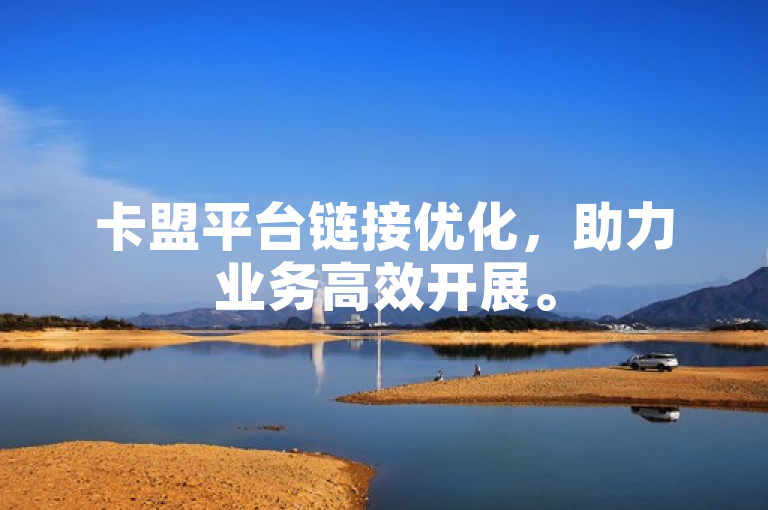 卡盟平台链接优化，助力业务高效开展。
