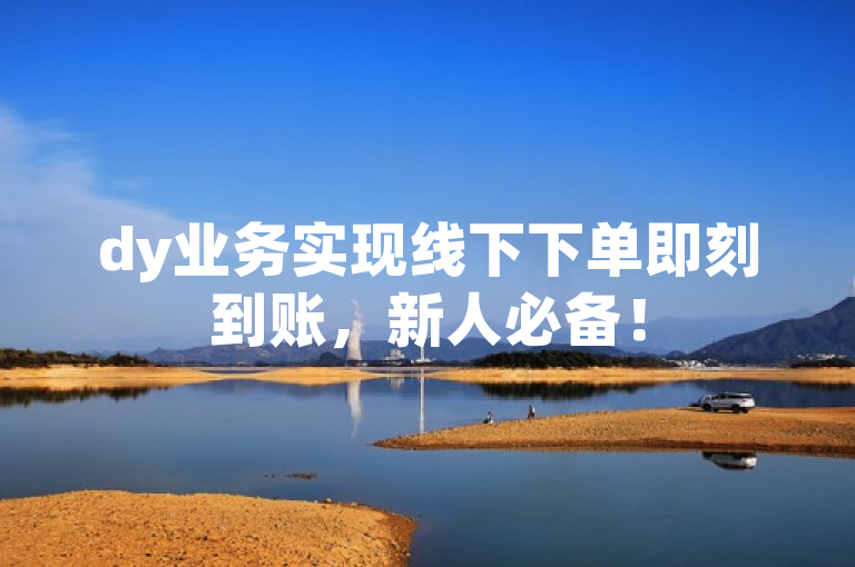 dy业务实现线下下单即刻到账，新人必备！