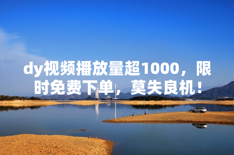 dy视频播放量超1000，限时免费下单，莫失良机！