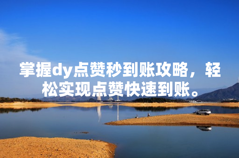 掌握dy点赞秒到账攻略，轻松实现点赞快速到账。